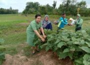 Kodim Lamongan Mendukung Ketahanan Pangan di Kampung Pandu
