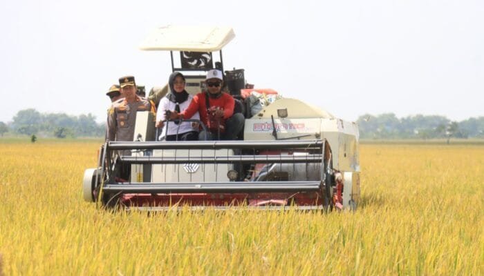 Polres Bojonegoro Berikan Pendampingan Intensif pada Panen Raya Padi Serentak