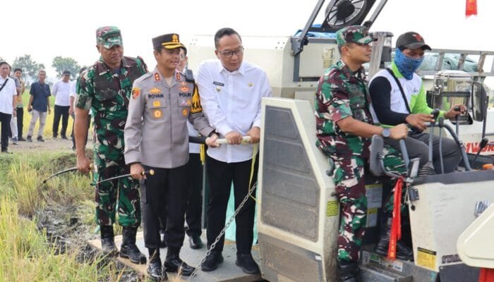 Gresik Berpartisipasi dalam Panen Raya Padi Nasional di Driyorejo