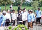 Lamongan Genjot Luas Tambah Tanam Capai 54 Ribu Hektare Lebih