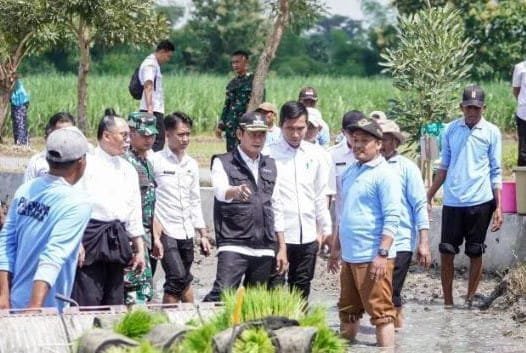 Lamongan Genjot Luas Tambah Tanam Capai 54 Ribu Hektare Lebih