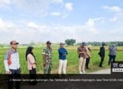 Babinsa Tambakrejo Kawal Penyerapan Gabah Petani Bakalan oleh Bulog Bojonegoro