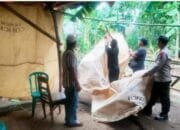 Polsek Ngronggot Bongkar Arena Sabung Ayam, Warga Apresiasi Tindakan Cepat