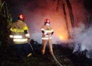 Kebakaran Tumpukan Ban di UPPKB Baureno, Damkar Bojonegoro Bergerak Cepat Selamatkan Aset Rp 1 Miliar