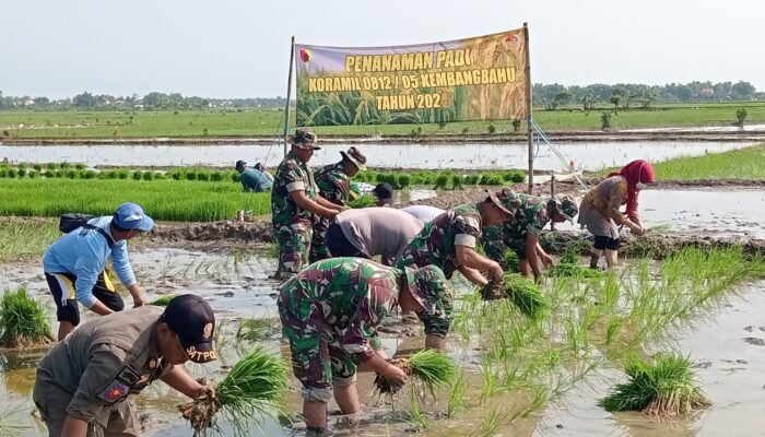 Kodim Lamongan Dorong Produktivitas Pertanian Lewat Sinergi dan Aksi Nyata