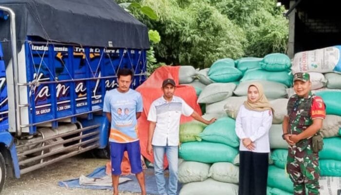Program Sergab di Bojonegoro, Petani Pohbogo Didampingi Babinsa Serahkan Gabah ke Bulog