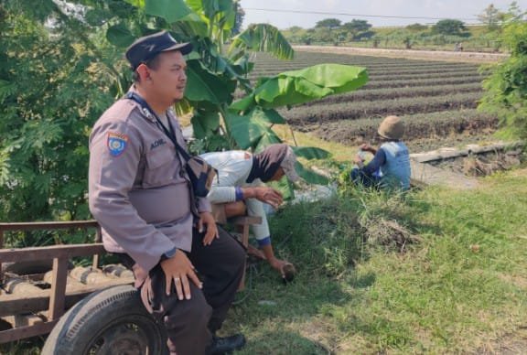 Dukung Ketahanan Pangan, Polsek Lengkong Terjun Langsung Pantau Sawah Warga