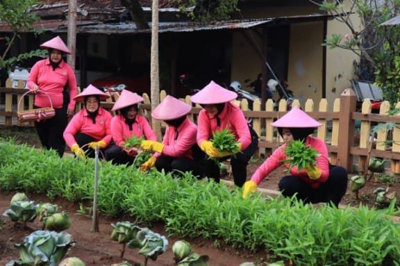 Bhayangkari Bojonegoro Panen Sayuran, Dorong Ketahanan Pangan Lewat Program P2L
