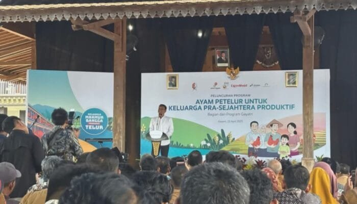 Bupati Bojonegoro Bagikan Puluhan Ribu Ayam ke Warga Prasejahtera