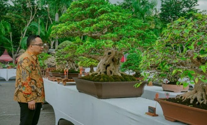 Gresik Unjuk Gigi Sebagai Pusat Bonsai Nasional