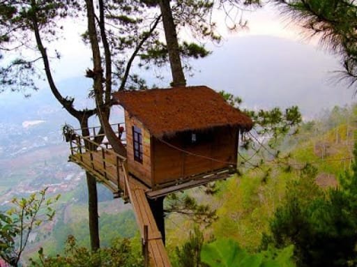 5 Spot Hits di Malang Bikin Feed Instagram Makin Estetik