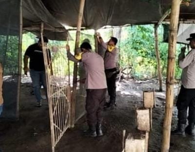 Sabung Ayam Terendus, Polisi Nganjuk Langsung Bertindak