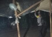 Arena Sabung Ayam di Nganjuk Dibongkar Polisi, Laporan Warga Langsung Direspon Cepat