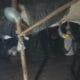 Img 20250525 wa0038
