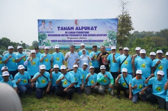 Hutan Dander Disulap Jadi Kebun Alpukat, Bupati Bojonegoro Ungkap Manfaatnya