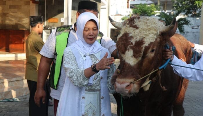 Momen Sakral Idul Adha, Pemkab Bojonegoro Serahkan 4 Ekor Sapi