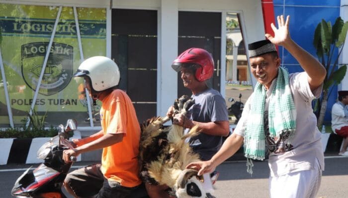 Polres Tuban Tebar 33 Hewan Kurban, Warga dan Ponpes Kebagian Rezeki Idul Adha