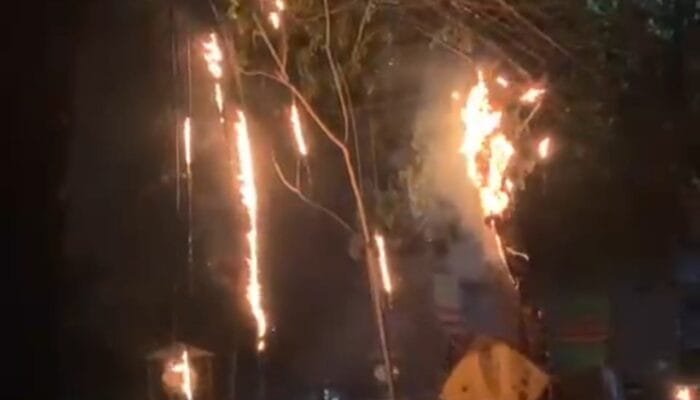 Kabel Telkom di Talun Bojonegoro Dilalap Api, Diduga Gara-Gara Ini