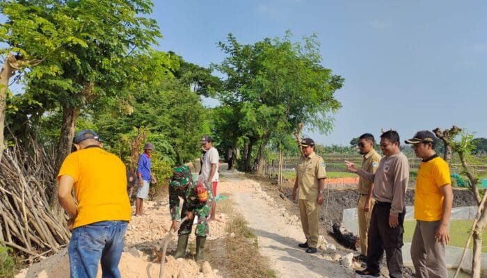 TNI Bantu Warga Bangun Infrastruktur Pertanian di Lamongan