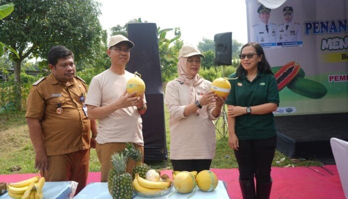 Pemkab Bojonegoro Gandeng Swasta, Lahan Tidur Disulap Jadi Ladang Uang