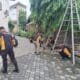 Img 20250613 wa0038