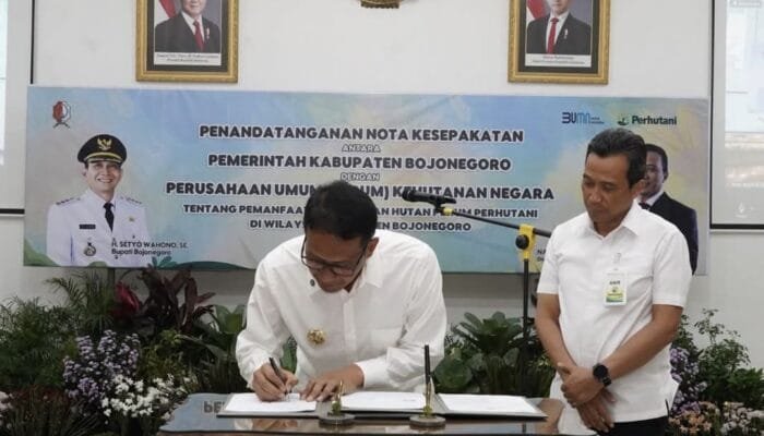 Potensi Rp Miliaran, Hutan Bojonegoro Resmi Digarap Bersama Perhutani