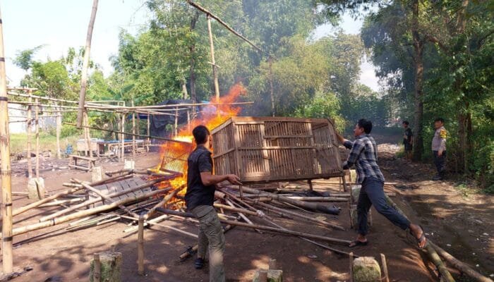 Kampung Aman Lagi, Arena Sabung Ayam di Nganjuk Dihancurkan