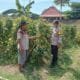 Img 20250629 wa0083