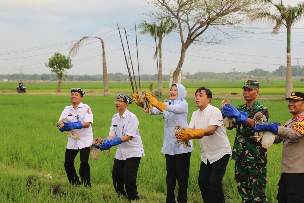 0b59e1df 7ebd 47ae 8ee2 75f180bb9df1