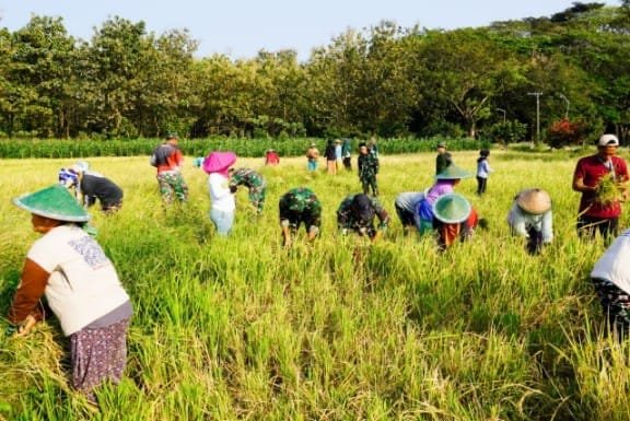 348cb033 a98e 4e80 ab18 d904383382b9