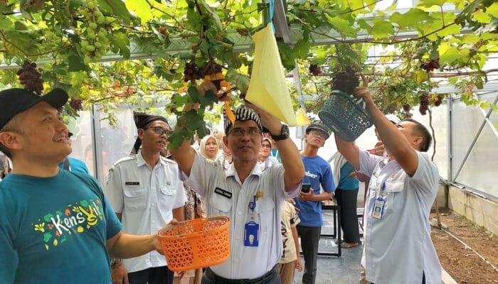 Wisata Pertanian Modern Bojonegoro: Edukasi dan Teknologi Menyatu
