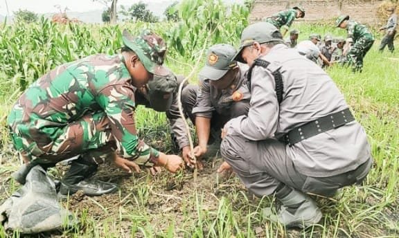 2cd196c5 3365 461e 843d 8a2909088fd5