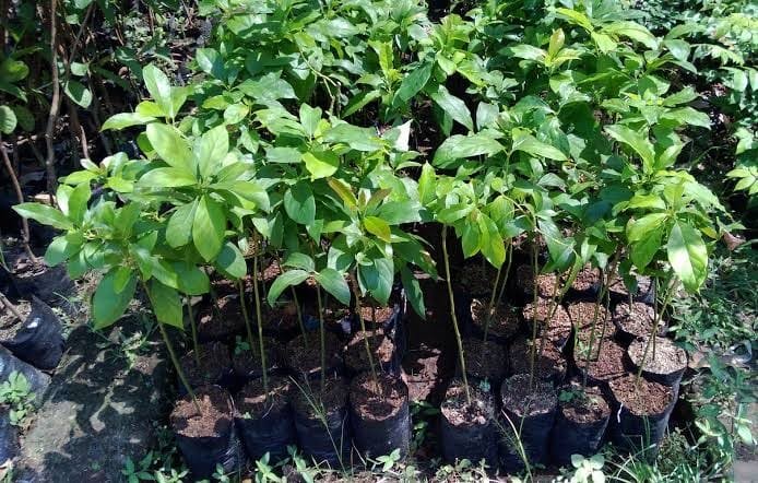 2f8ac908 3477 4777 a32e 51a1c995351b