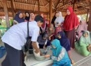 Bonggol Jagung Kini Bisa Jadi Ladang Uang Warga Desa Panjang Bojonegoro