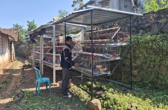 GAYATRI Bojonegoro Sukses, Warga Panen Telur Ekonomi Keluarga Melejit