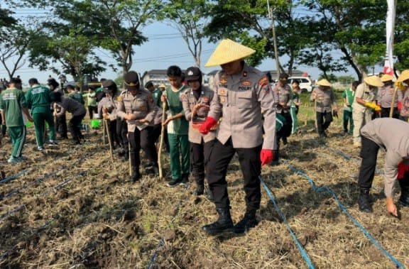 9193a834 53f5 4150 83c1 145ffc281205