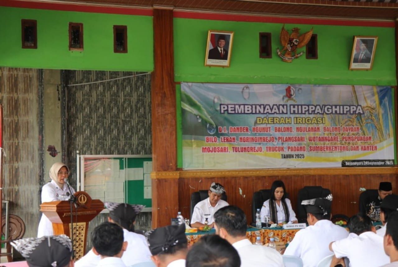 56e3d6c7 144e 46e1 9e2e fdb9c5fb885f