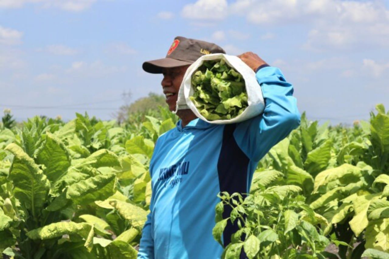 76dcab42 9345 41b4 afbb bc6e40b98b0f