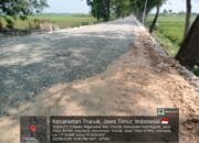 CV Kertas Sejati Menang Tender Rp7,3 Miliar, Proyek Jalan Bojonegoro Dinilai Bermasalah