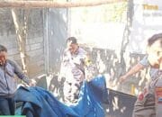 A0ccc4a9 b144 47c7 a2ea e323c348303d