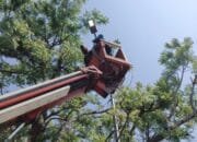 Lampu LED Hemat Energi Terangi Jalan Nasional Bojonegoro, Begini Faktanya!