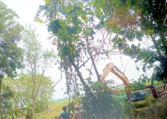 D1be84f0 6c8d 4b90 b08d de0d0b3ac1d1