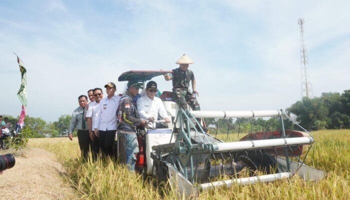 Sinergi TNI dan Pemkab, Lamongan Siap Jadi Lumbung Padi Nasional