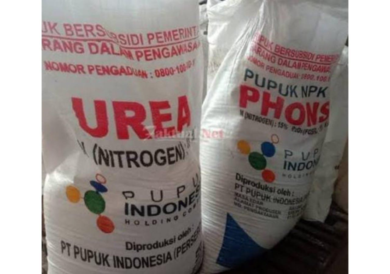 E229c68e 3461 4267 8d0a 6a7566e0fc19