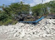 Truk Tronton Muat Herbel Terguling di Ngraho Bojonegoro, Begini Kondisi Sopir dan Kernetnya