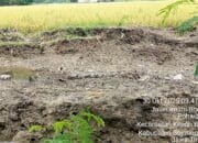 Aktivis Bojonegoro Bongkar Dugaan Pelanggaran di Proyek Bronjong Tanpa Papan Informasi