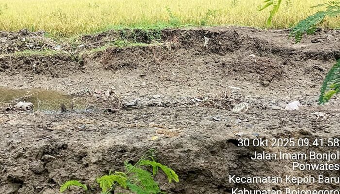 Aktivis Bojonegoro Bongkar Dugaan Pelanggaran di Proyek Bronjong Tanpa Papan Informasi