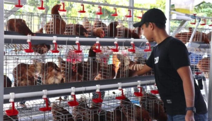 Dari Nol Jadi Peternak Mandiri, Begini Sukses Warga Bojonegoro Lewat Program GAYATRI
