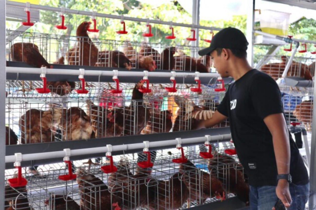 356c32da 0c91 49f7 a69c 0f7c2f0d4e0c