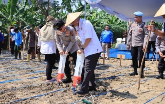 Polres Bojonegoro Jadi Pelopor Tanam Jagung Dukung Program Asta Cita Presiden Prabowo